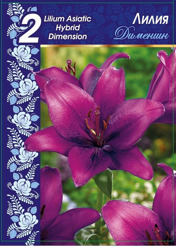 Лилия Дименшн 1 уп. (2 шт.)
